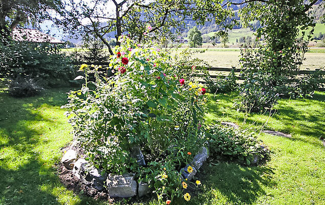 Haus Harlander - Photo 10