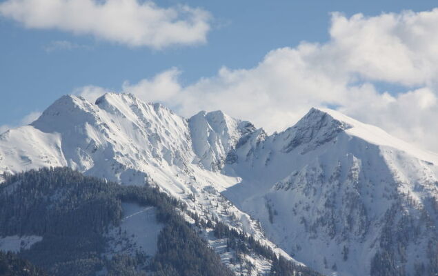 Haus Harlander - Photo 17