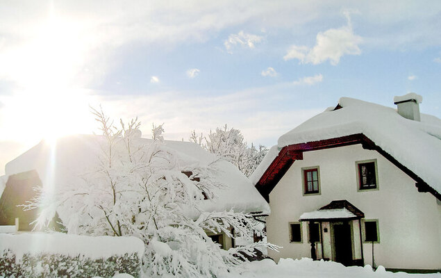 Schnitzer - Photo 13