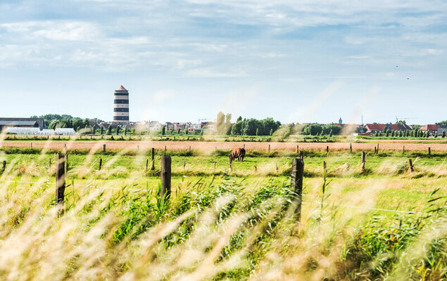 Deauville II - Photo 23