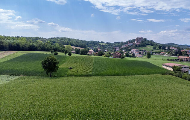 La Bell'aria - Photo 49